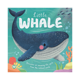 Little Whale – Little Nature Stories Board Book